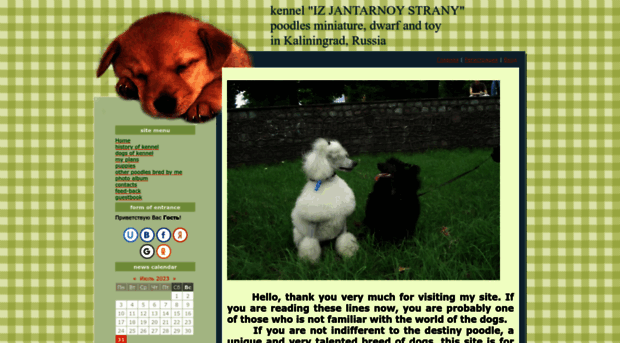 amberpoodles.ucoz.com