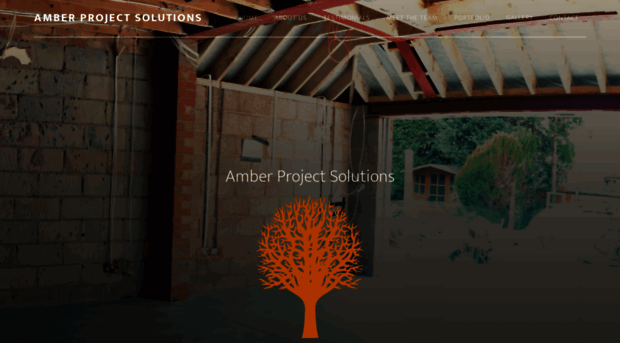 amberprojectsolutions.com