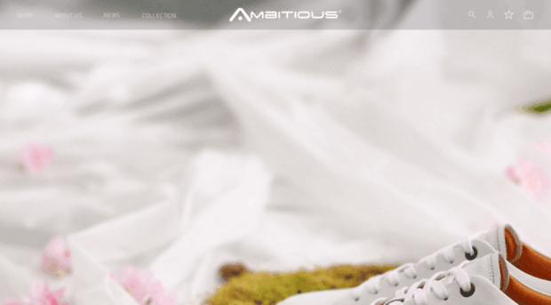 ambitious-shoes.com