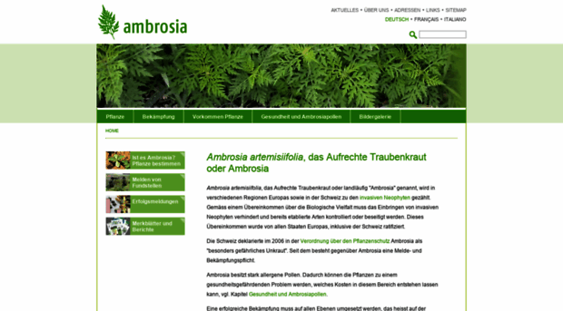 ambrosia.ch