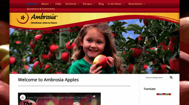 ambrosiaapples.ca