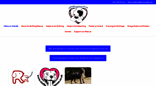 ambulldogrescue.co.uk