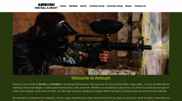 ambush-paintball.com