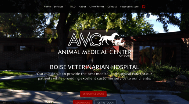 amcboise.com