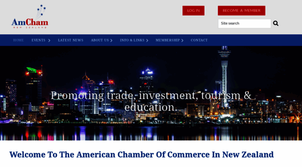 amcham.co.nz