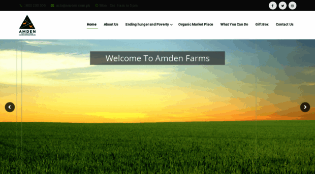 amden.com.pk