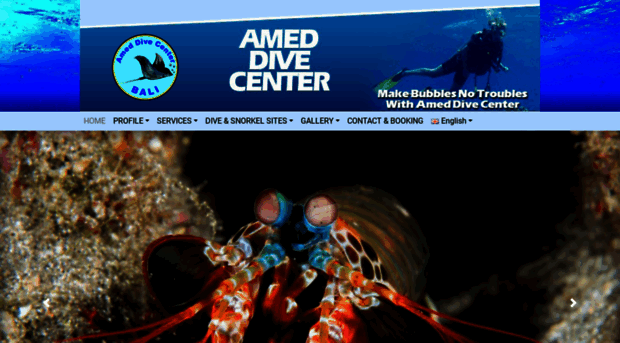 ameddivecenter.com