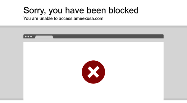 ameexusa.com