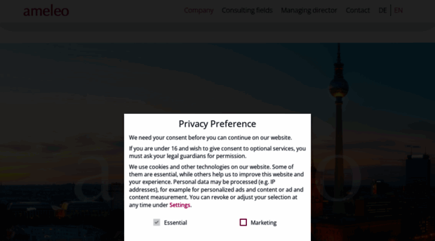 ameleo-consulting.com