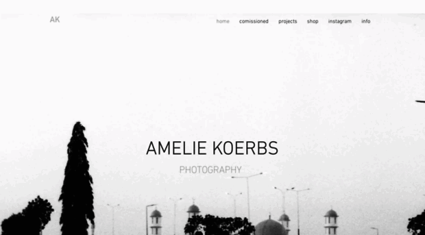 ameliekoerbs.com