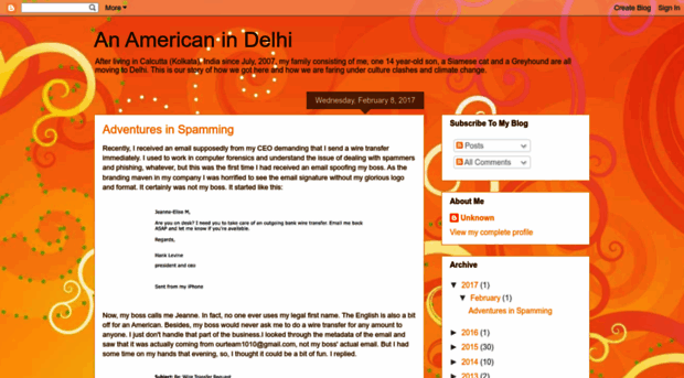 american-in-delhi.blogspot.com