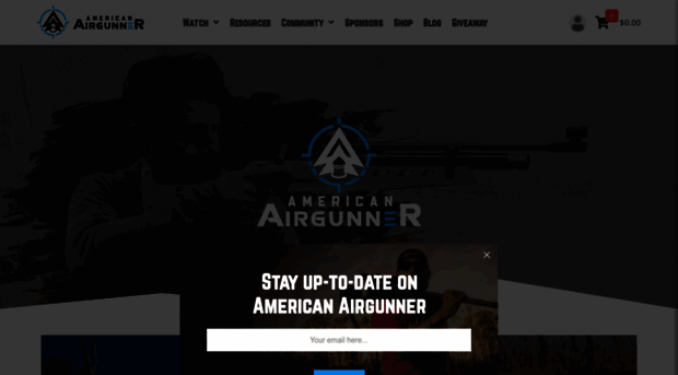 americanairgunner.com