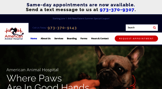 americananimalhospital.com