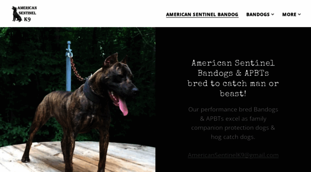 americanbandog.com