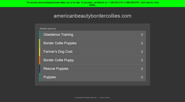 americanbeautybordercollies.com