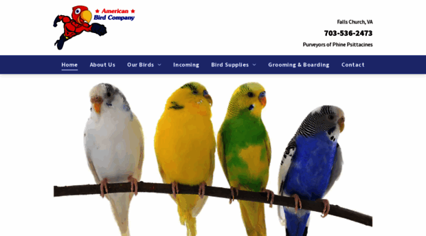 americanbirdcompany.com