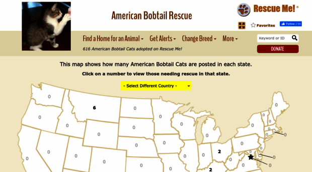 americanbobtail.rescueme.org