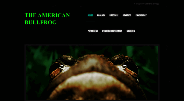 americanbullfrogbiology.weebly.com