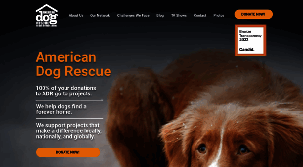 americandogrescue.org