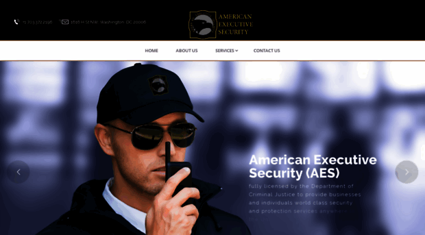 americanexecutivesecurity.com