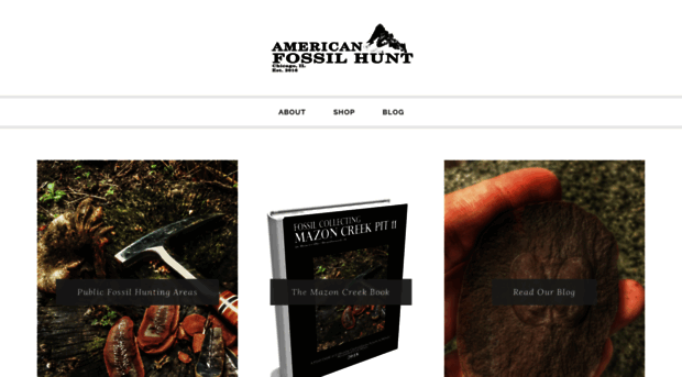 americanfossilhunt.com