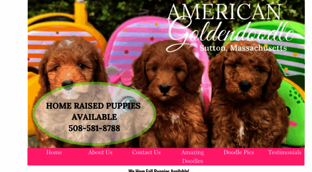 americangoldendoodle.com