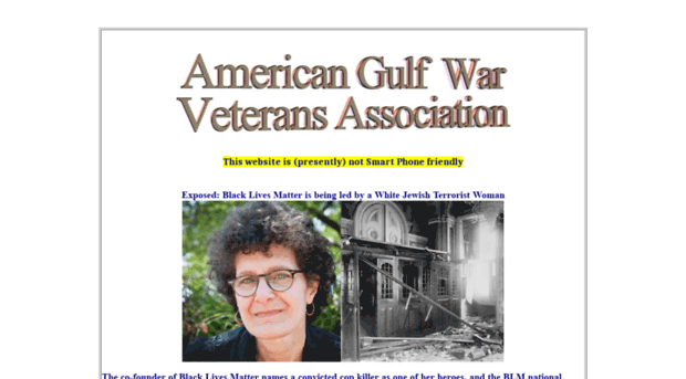 americangulfwarveteransassociation.org