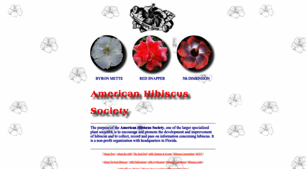 americanhibiscus.org