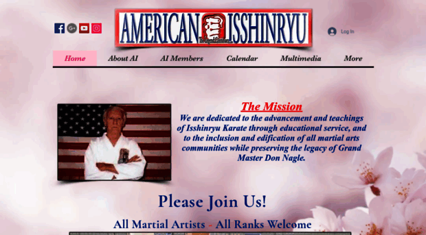 americanisshinryu.com