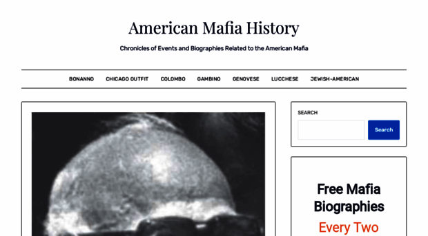 americanmafiahistory.com