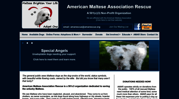 americanmalteserescue.org