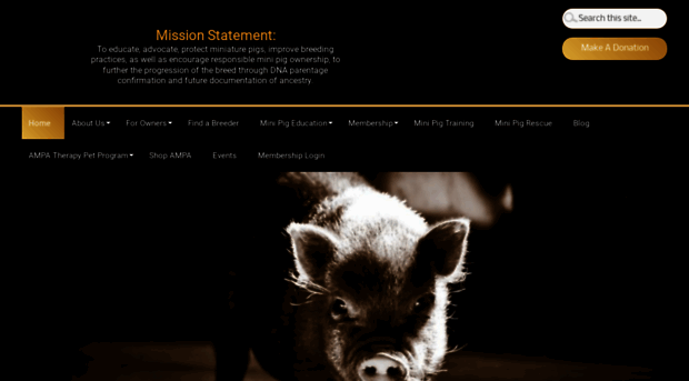 americanminipigassociation.com