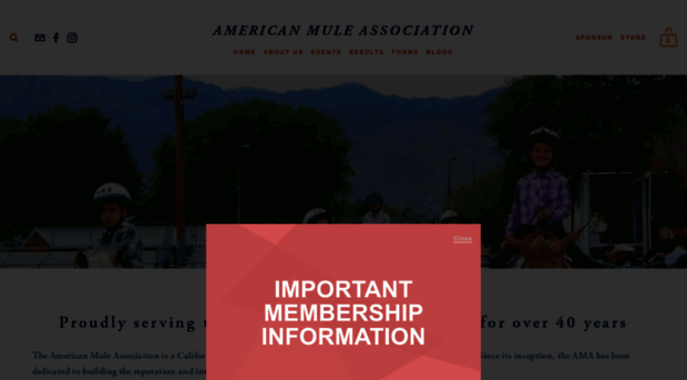 americanmuleassociation.org