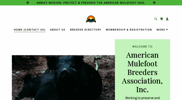 americanmulefoot.com