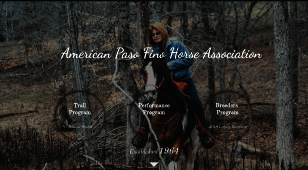 americanpasofino.com