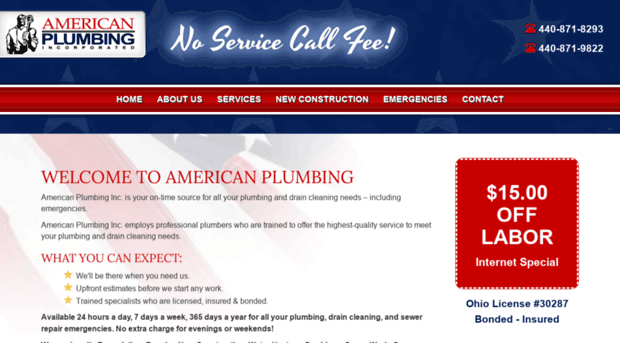 americanplumbing1.com