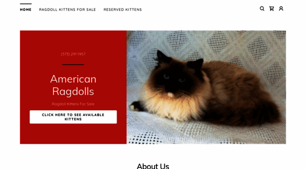 americanragdolls.net