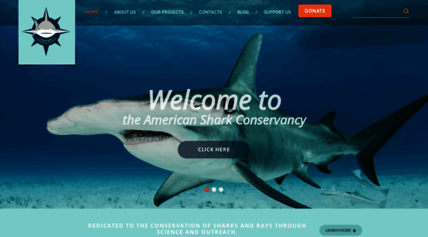 americansharkconservancy.org