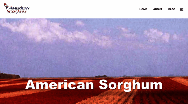 americansorghum.com