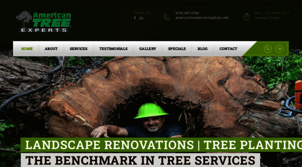 americantreedoctor.com