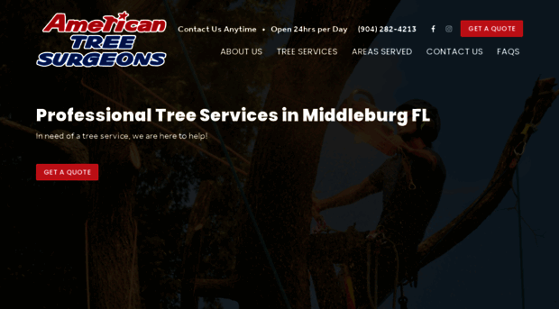 americantreesurgeons.com