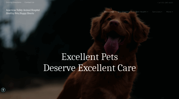 americanvalleyvet.com