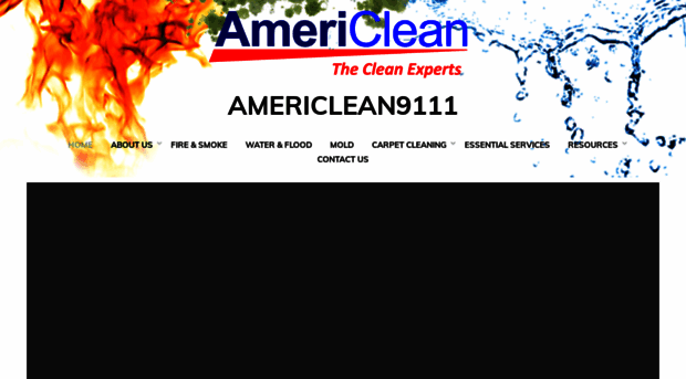 americlean9111.com