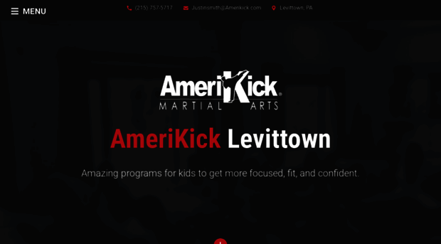 amerikicklanghorne.com