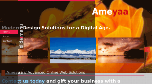 ameyaawebdesigns.com