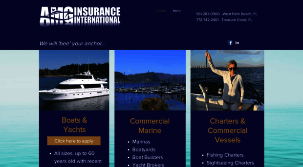 amginsuranceintl.com