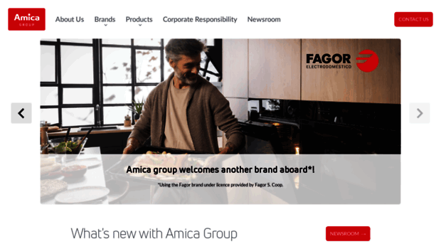 amica-group.com