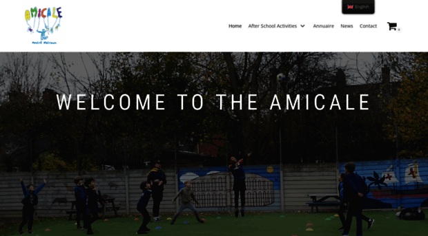 amicale-malraux.com