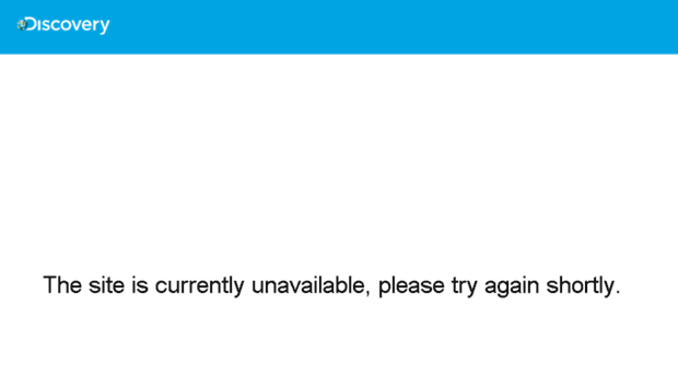 amici.realtimetv.it