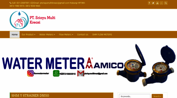 amicowatermeters.com